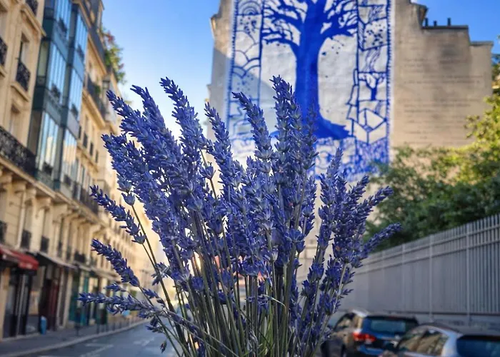Quartier D'emily In Paris